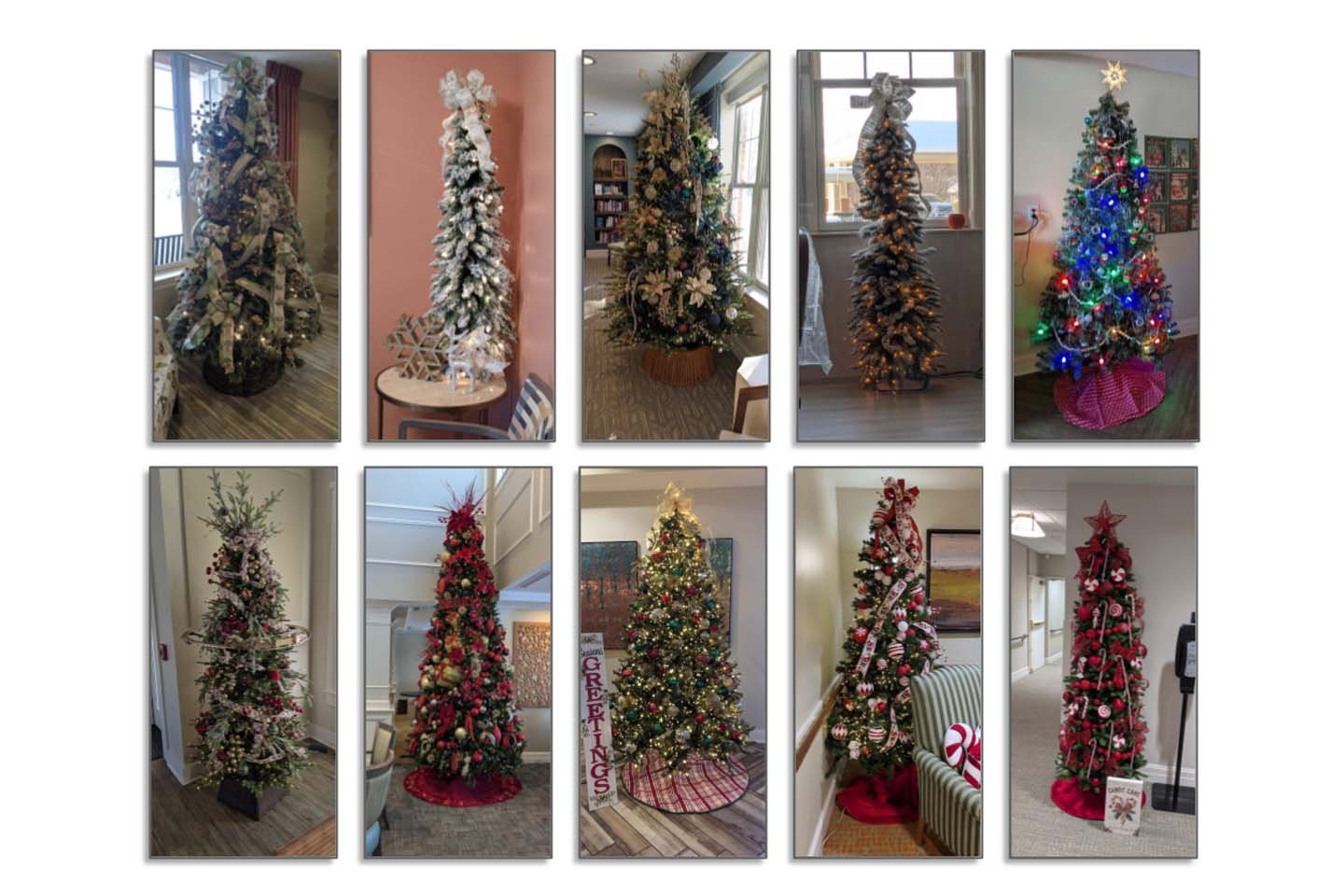 Deerfield has more then 20 decorated Christmas trees throughout the community.