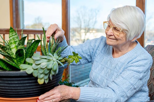 Candie Carter is a resident at Trinity Village in Papillion, Nebraska.