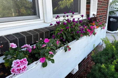 A window box garden.