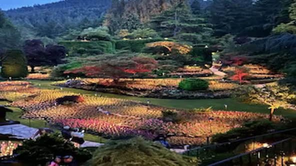 butchart-gardens