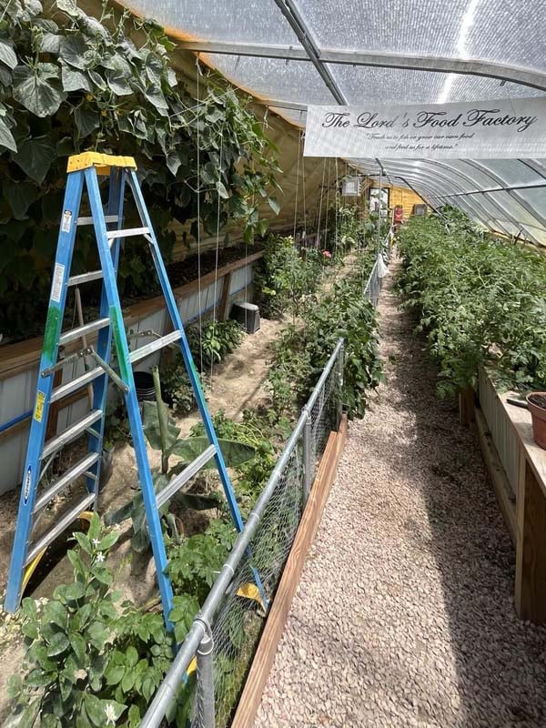 The Lord's Food Factory greenhouse received a grant from the Immanuel Visions Foundation.