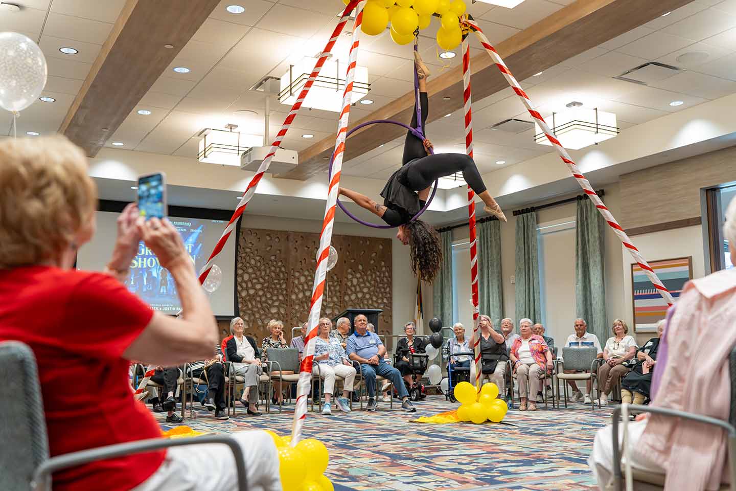 Aerial acrobatic performance.