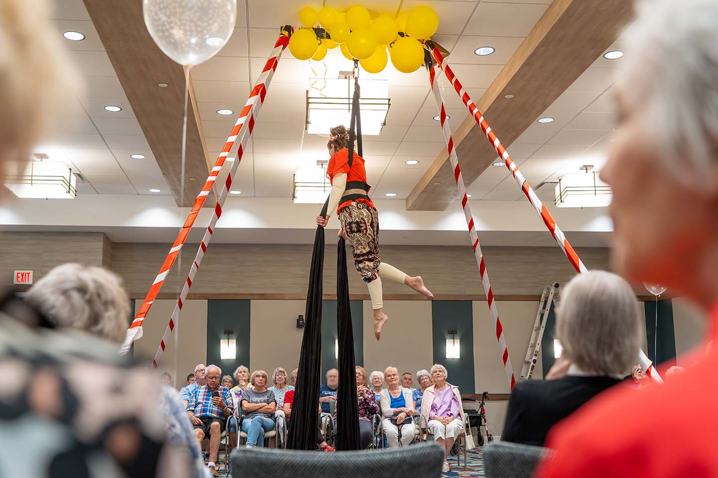 Aerial acrobatic performance.