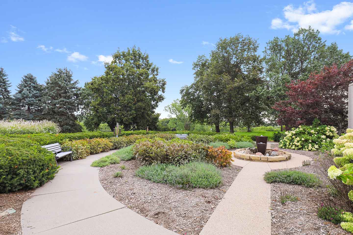 Outdoor Area North View