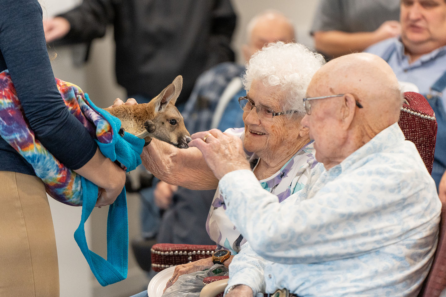 A group of seniors pet a joey.