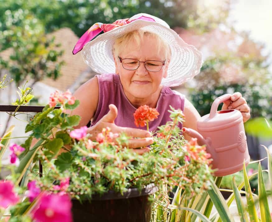 Senior woman working in her garden with a plants. 